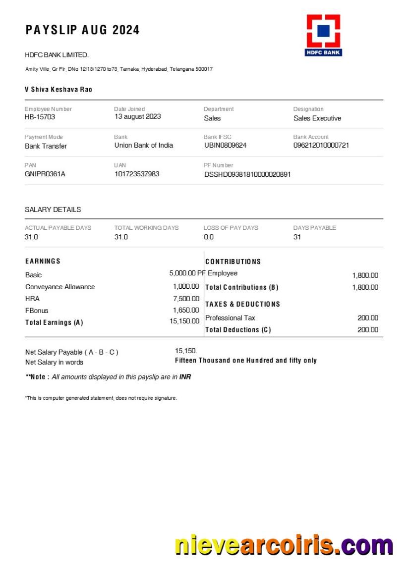 HDFC Bank payslip
